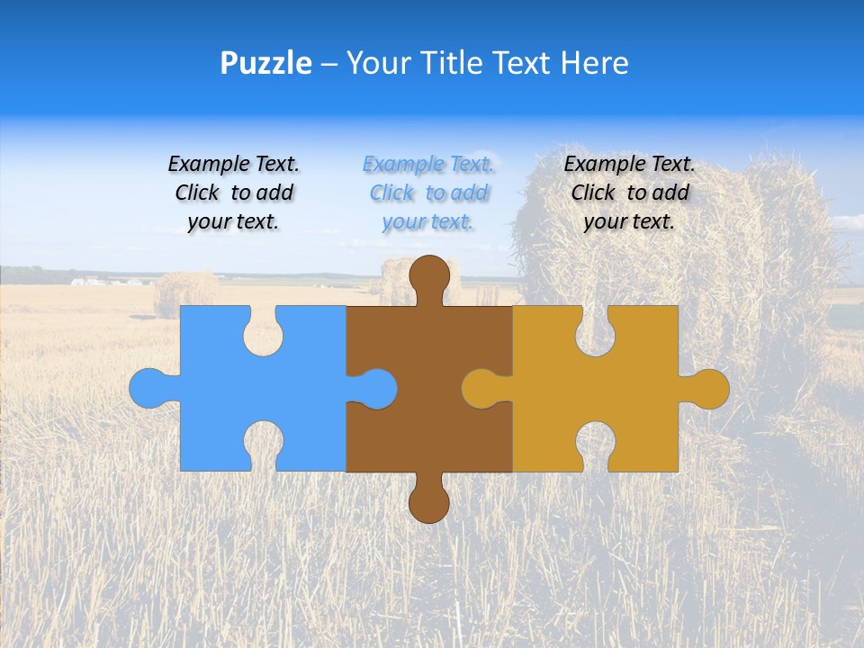 Season Wheat Blue PowerPoint Template