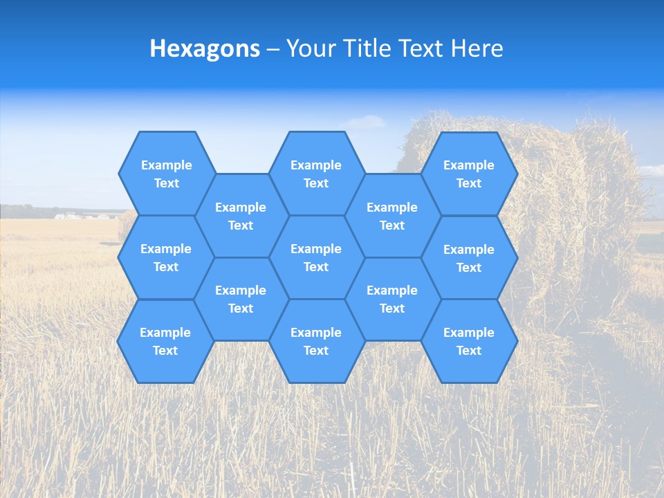 Season Wheat Blue PowerPoint Template