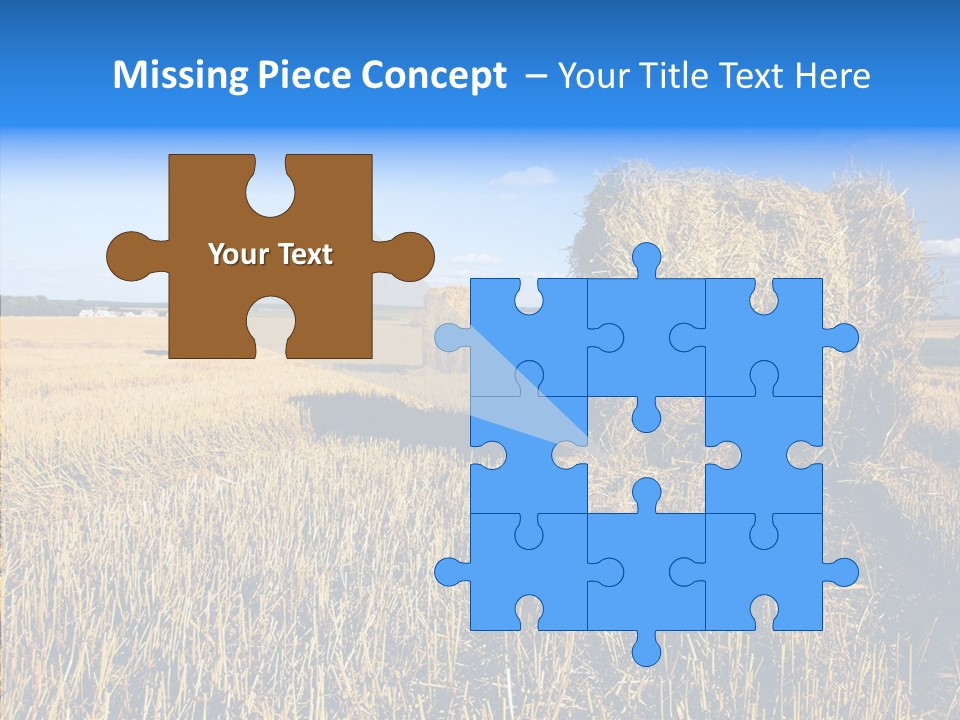 Season Wheat Blue PowerPoint Template