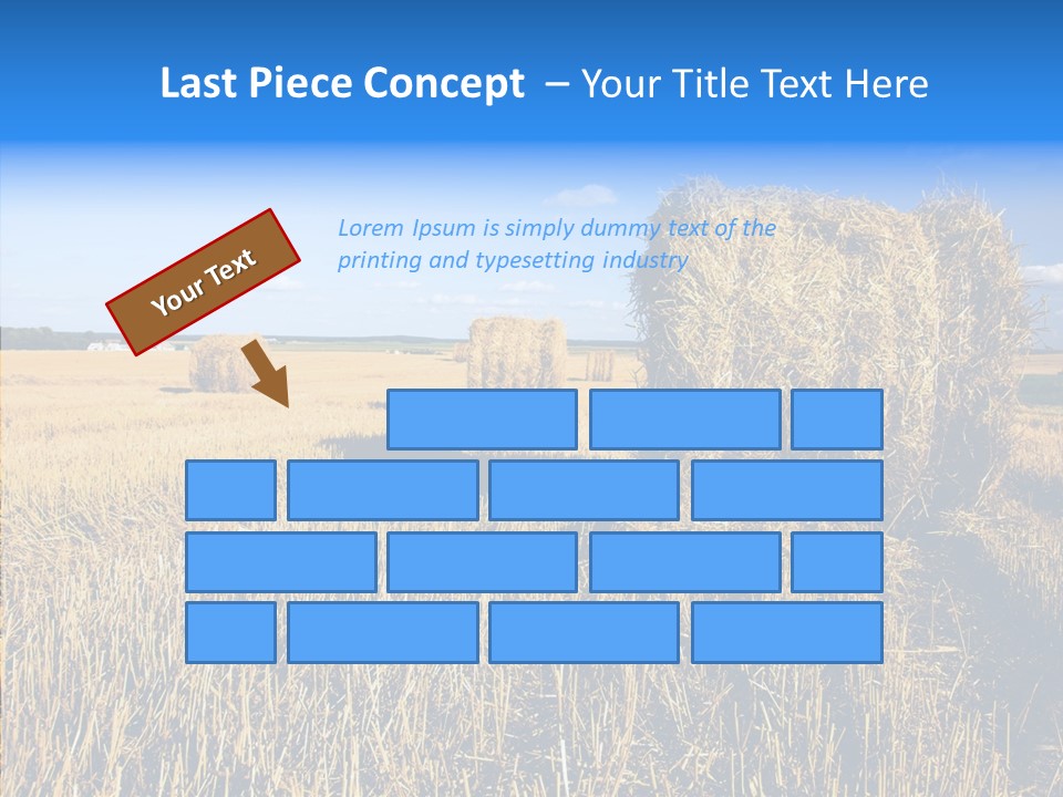 Season Wheat Blue PowerPoint Template