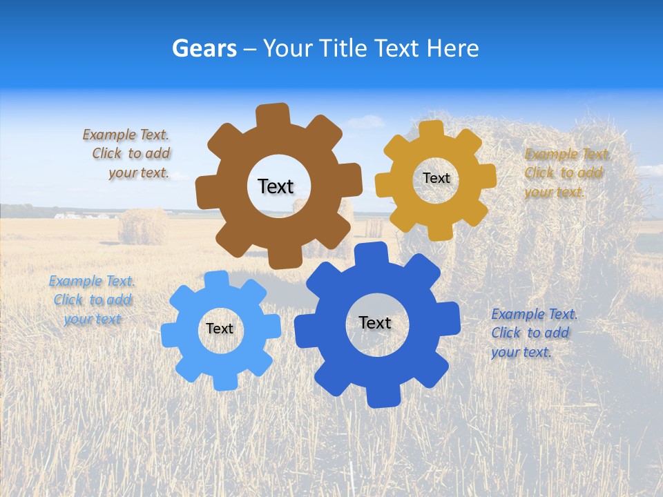 Season Wheat Blue PowerPoint Template