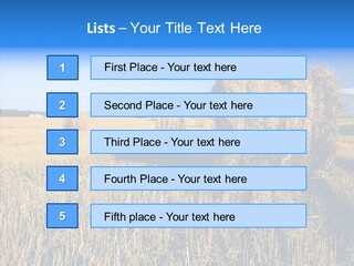 Season Wheat Blue PowerPoint Template