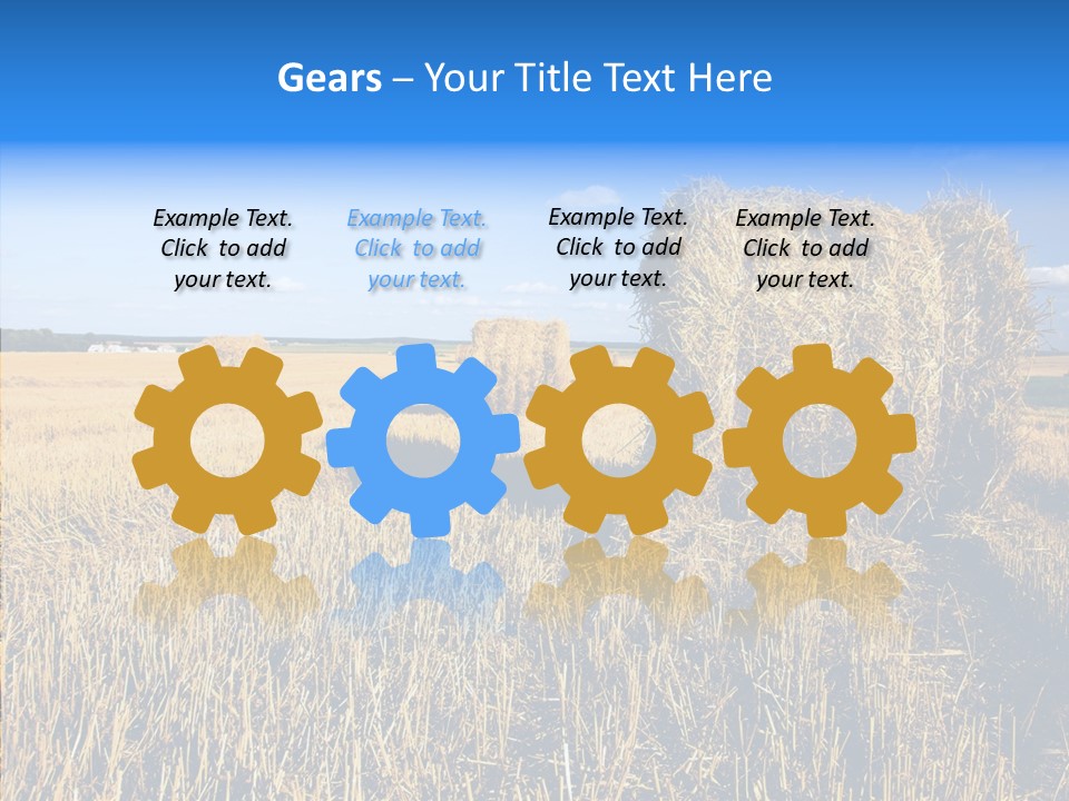 Season Wheat Blue PowerPoint Template