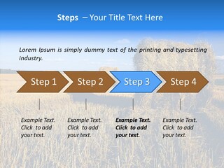 Season Wheat Blue PowerPoint Template