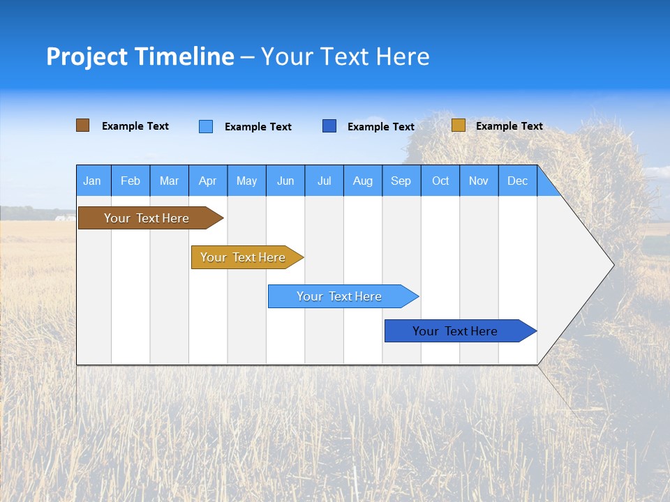 Season Wheat Blue PowerPoint Template