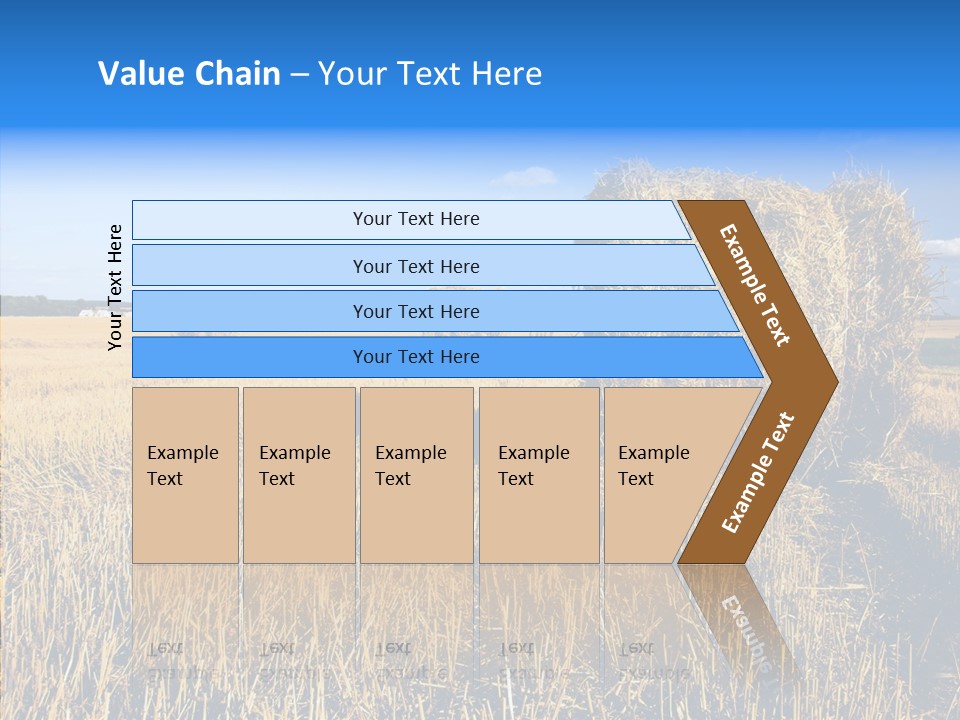 Season Wheat Blue PowerPoint Template