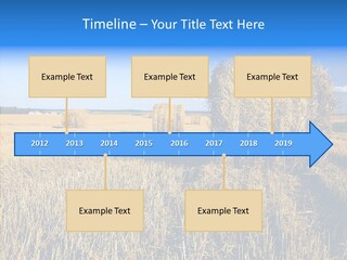 Season Wheat Blue PowerPoint Template