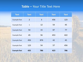 Season Wheat Blue PowerPoint Template