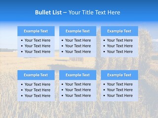 Season Wheat Blue PowerPoint Template