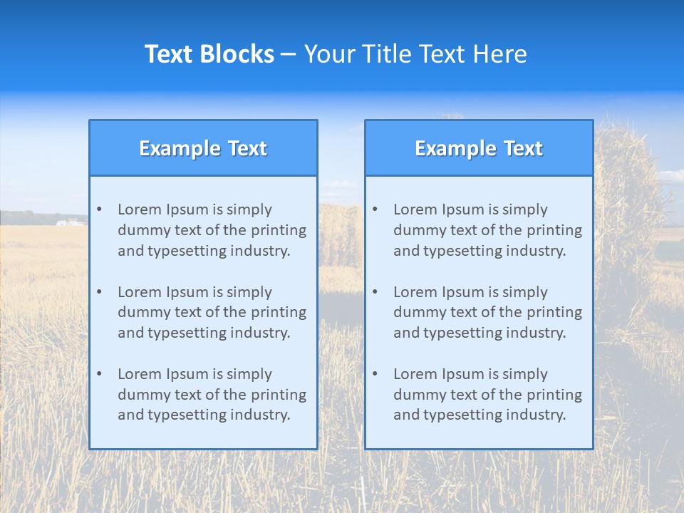 Season Wheat Blue PowerPoint Template