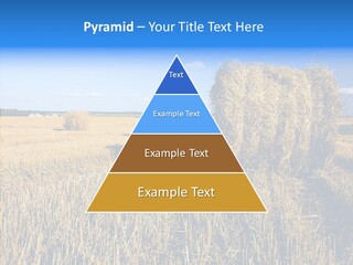 Season Wheat Blue PowerPoint Template