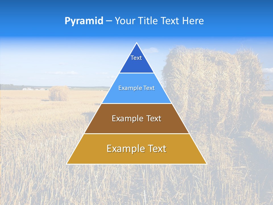 Season Wheat Blue PowerPoint Template