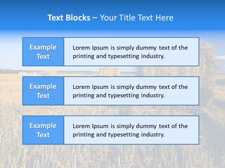 Season Wheat Blue PowerPoint Template