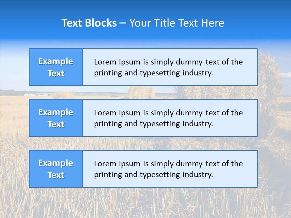 Season Wheat Blue PowerPoint Template