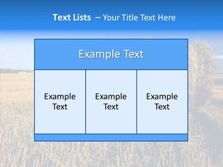 Season Wheat Blue PowerPoint Template