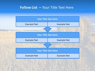 Season Wheat Blue PowerPoint Template