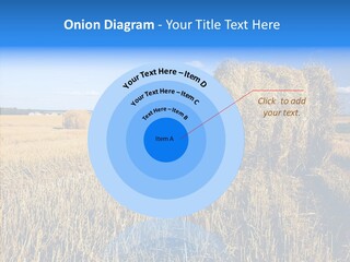 Season Wheat Blue PowerPoint Template