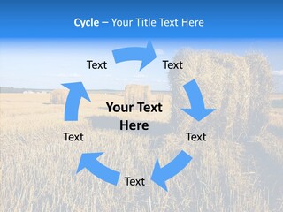 Season Wheat Blue PowerPoint Template