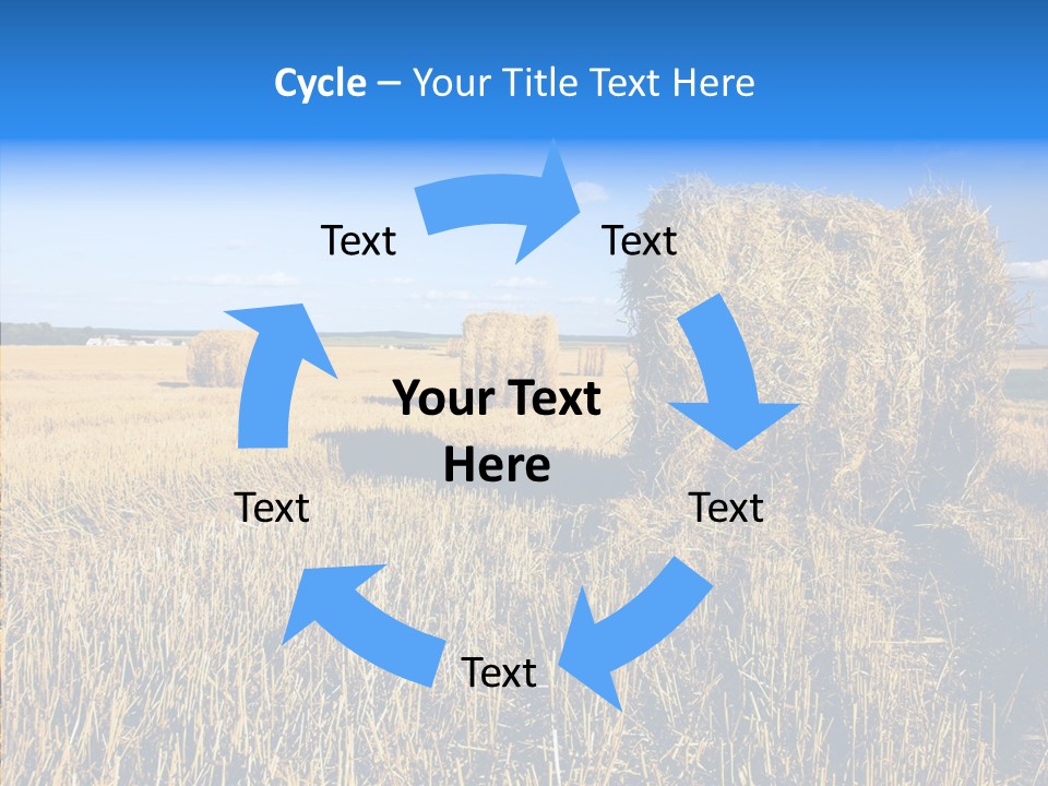 Season Wheat Blue PowerPoint Template