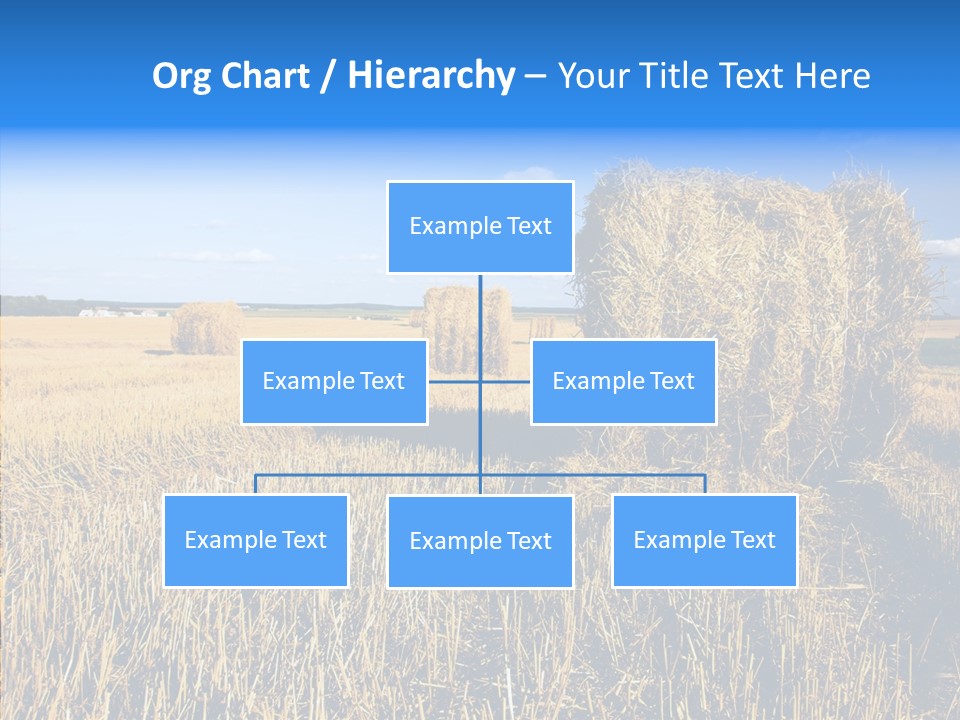 Season Wheat Blue PowerPoint Template