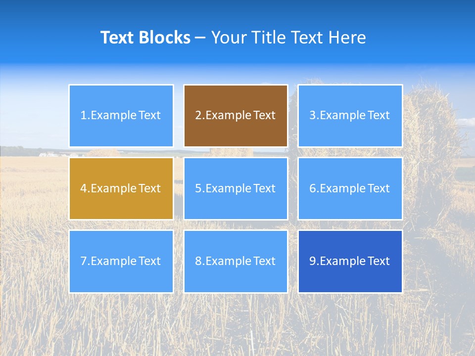 Season Wheat Blue PowerPoint Template