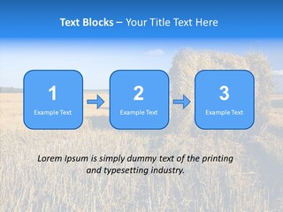 Season Wheat Blue PowerPoint Template