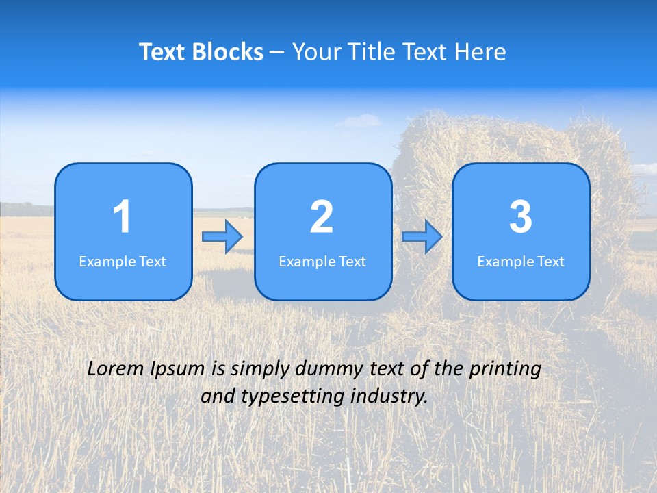 Season Wheat Blue PowerPoint Template