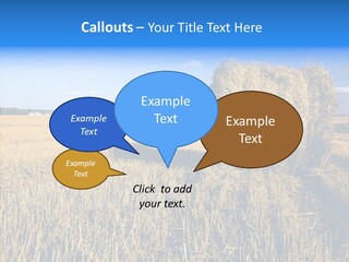 Season Wheat Blue PowerPoint Template