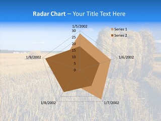 Season Wheat Blue PowerPoint Template