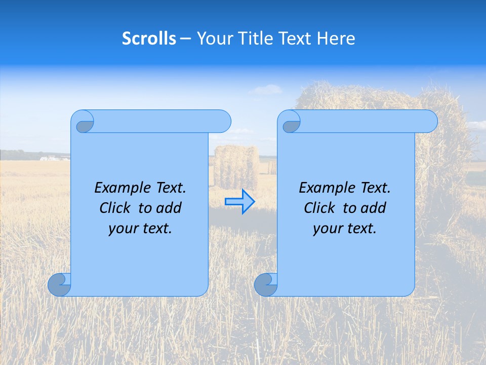 Season Wheat Blue PowerPoint Template