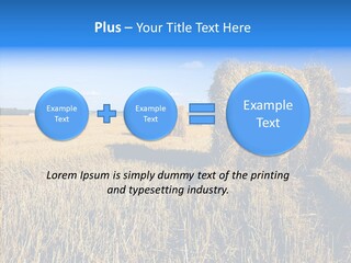Season Wheat Blue PowerPoint Template