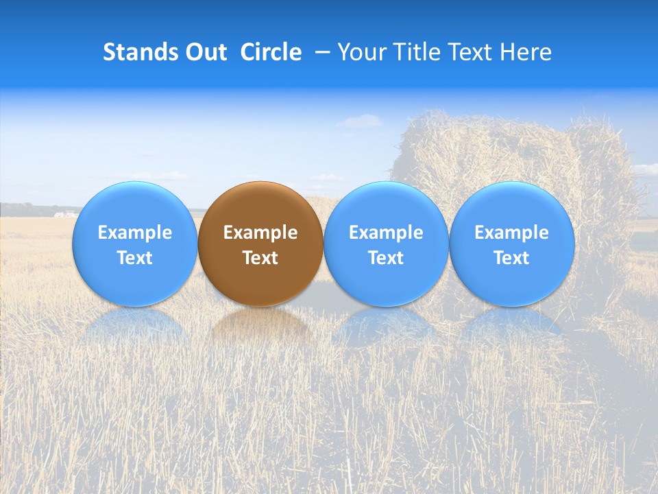 Season Wheat Blue PowerPoint Template