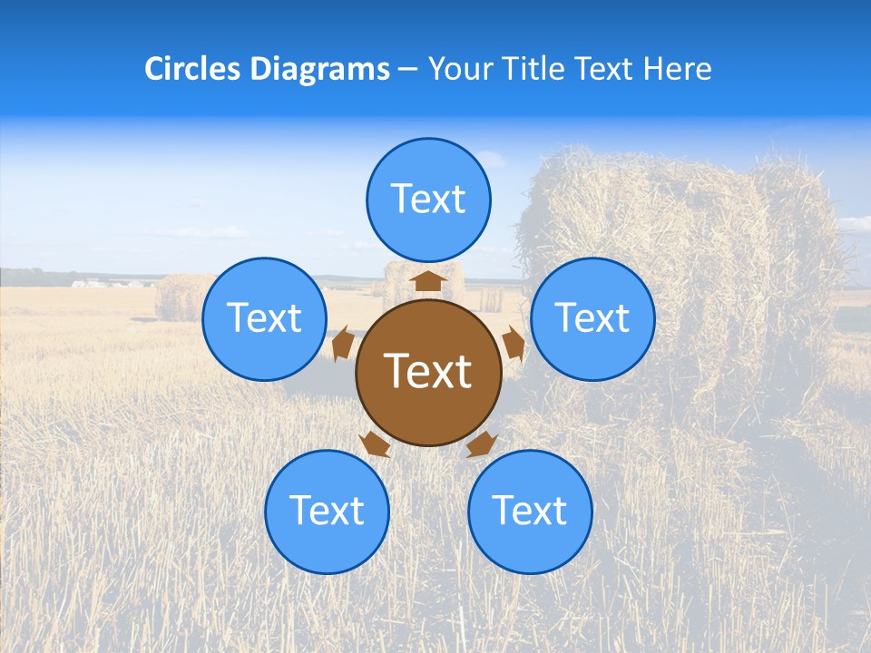 Season Wheat Blue PowerPoint Template