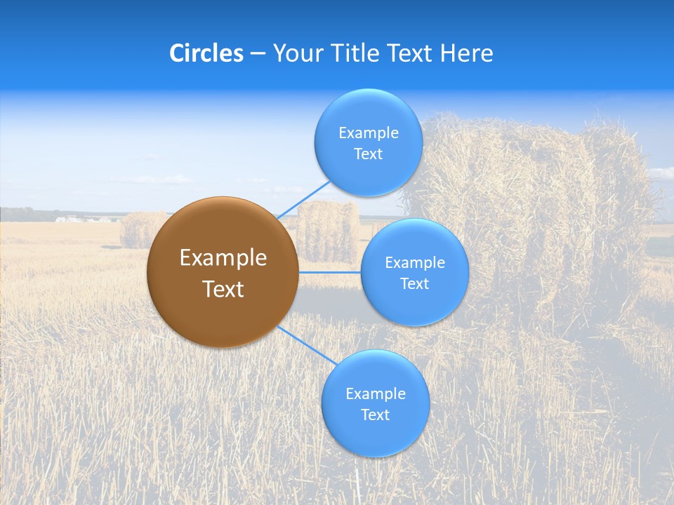 Season Wheat Blue PowerPoint Template