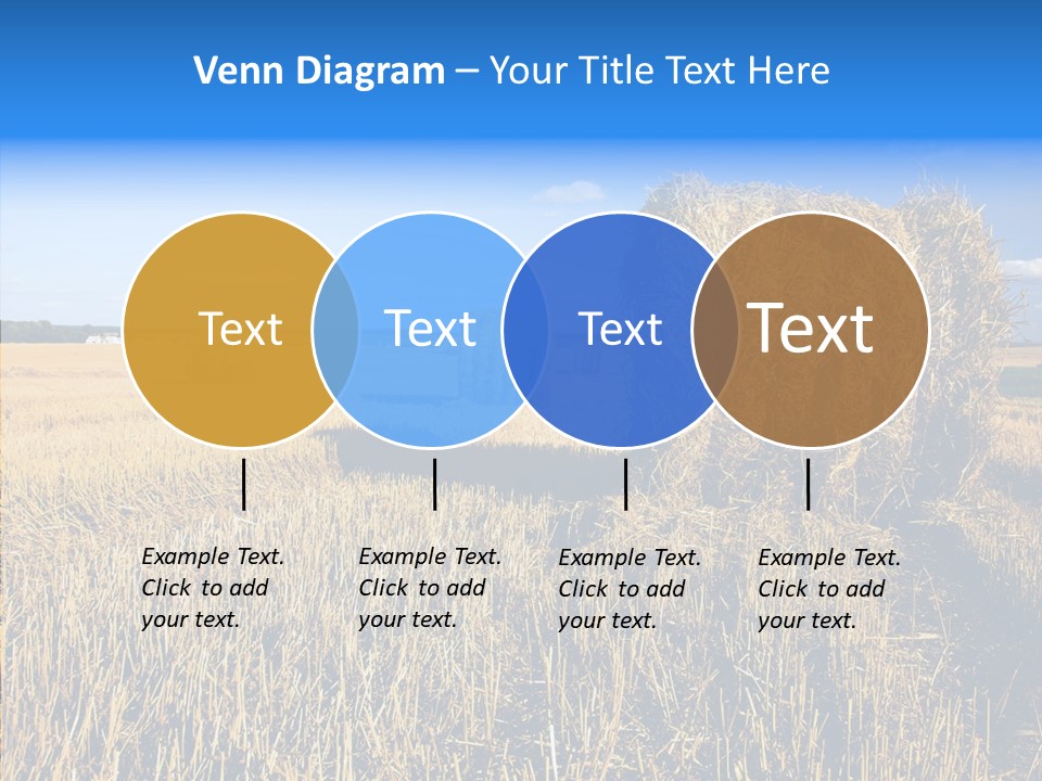 Season Wheat Blue PowerPoint Template