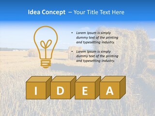 Season Wheat Blue PowerPoint Template