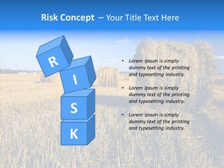 Season Wheat Blue PowerPoint Template