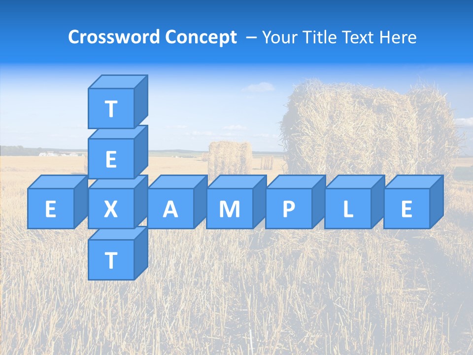 Season Wheat Blue PowerPoint Template