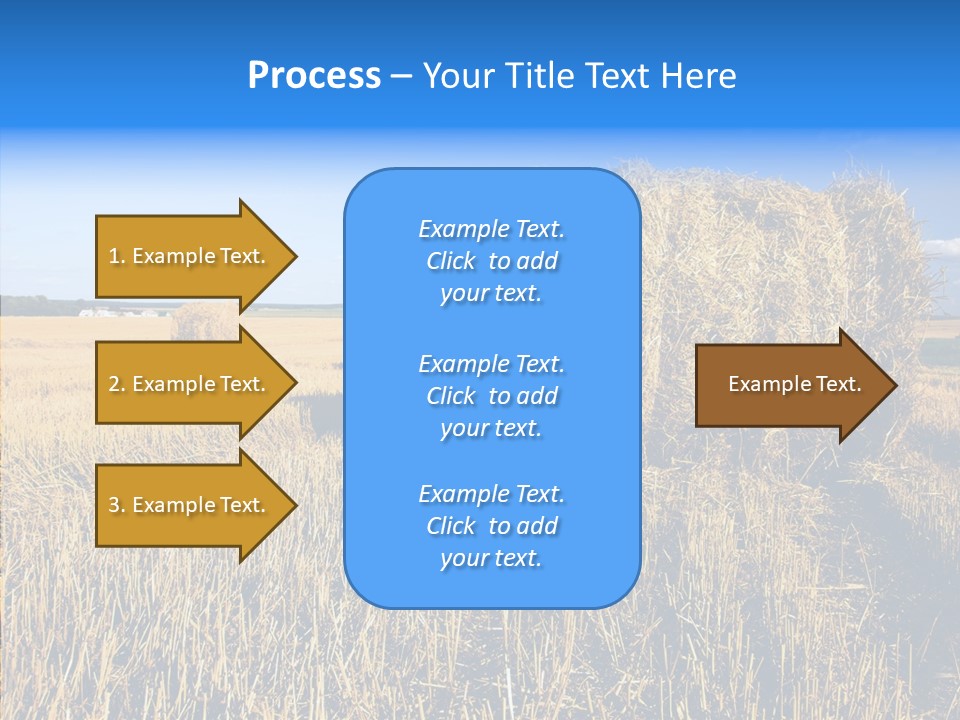 Season Wheat Blue PowerPoint Template