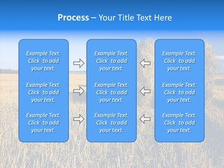 Season Wheat Blue PowerPoint Template