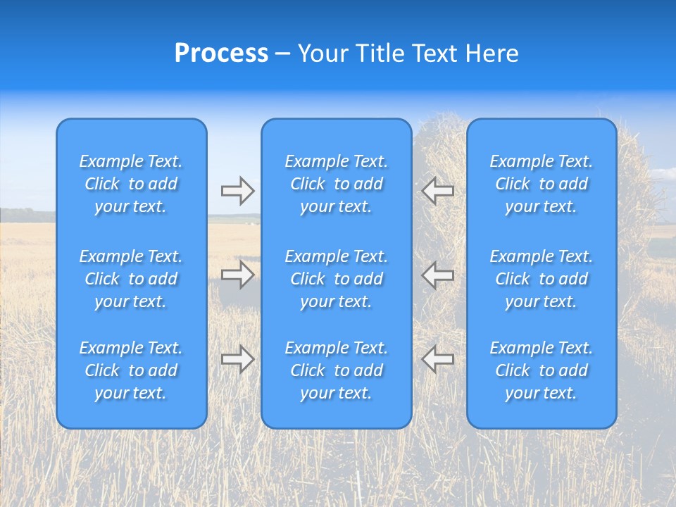 Season Wheat Blue PowerPoint Template