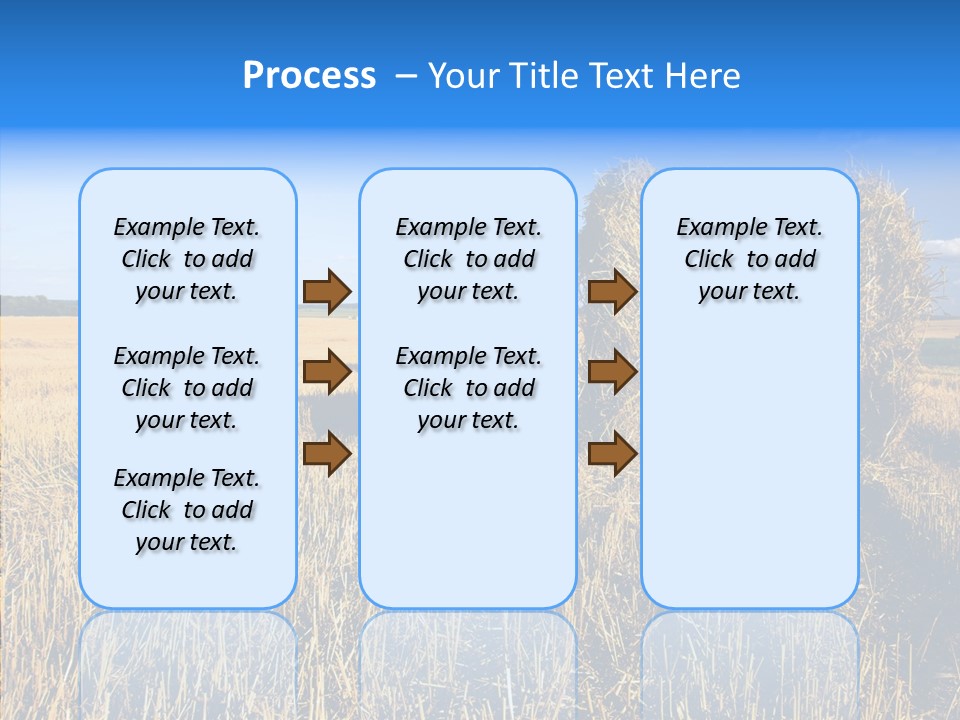 Season Wheat Blue PowerPoint Template