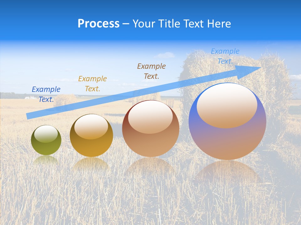 Season Wheat Blue PowerPoint Template