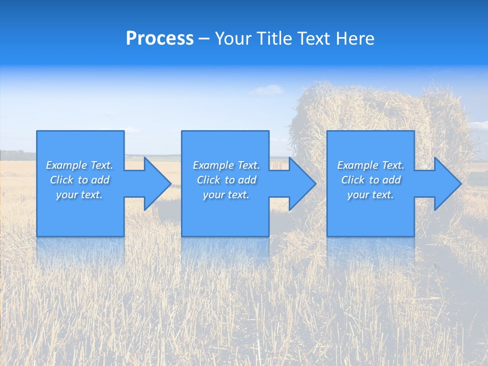 Season Wheat Blue PowerPoint Template