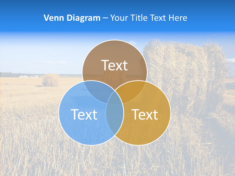 Season Wheat Blue PowerPoint Template