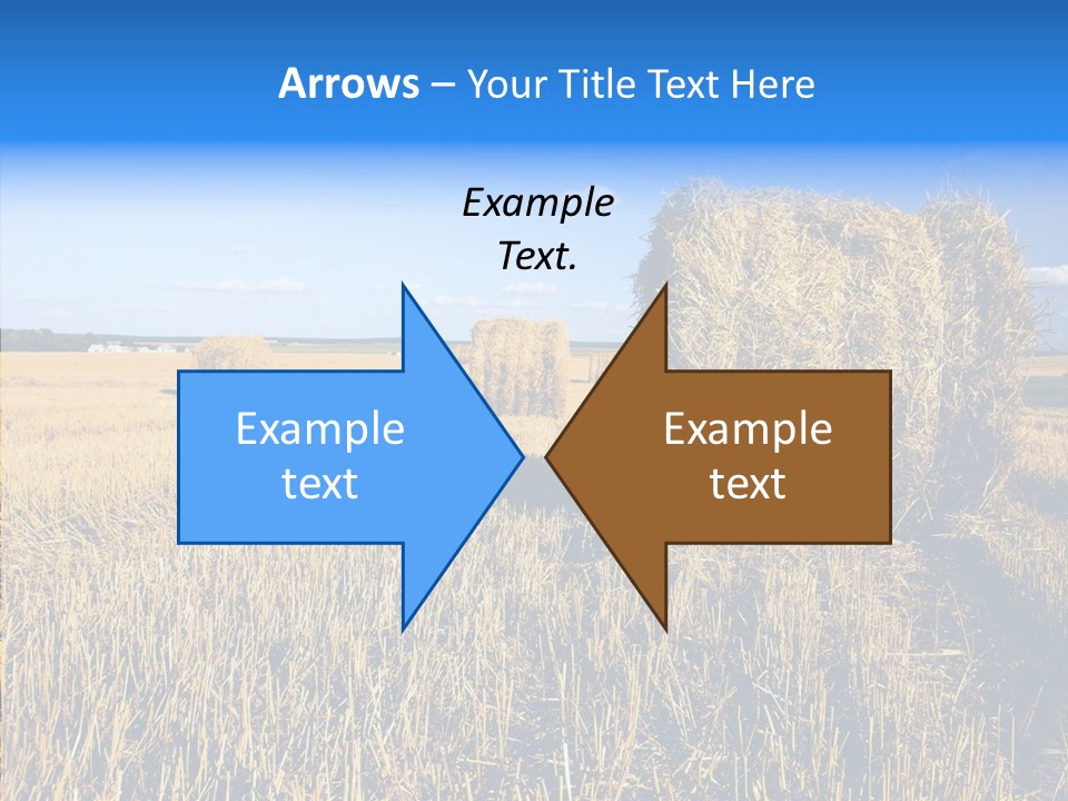 Season Wheat Blue PowerPoint Template