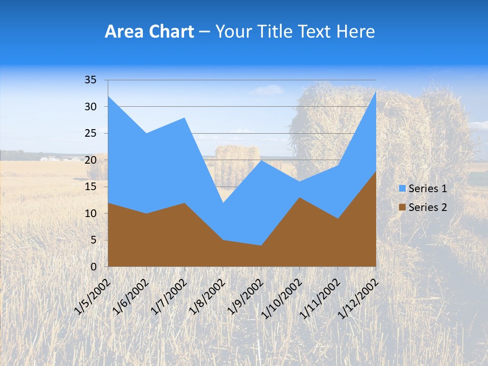 Season Wheat Blue PowerPoint Template
