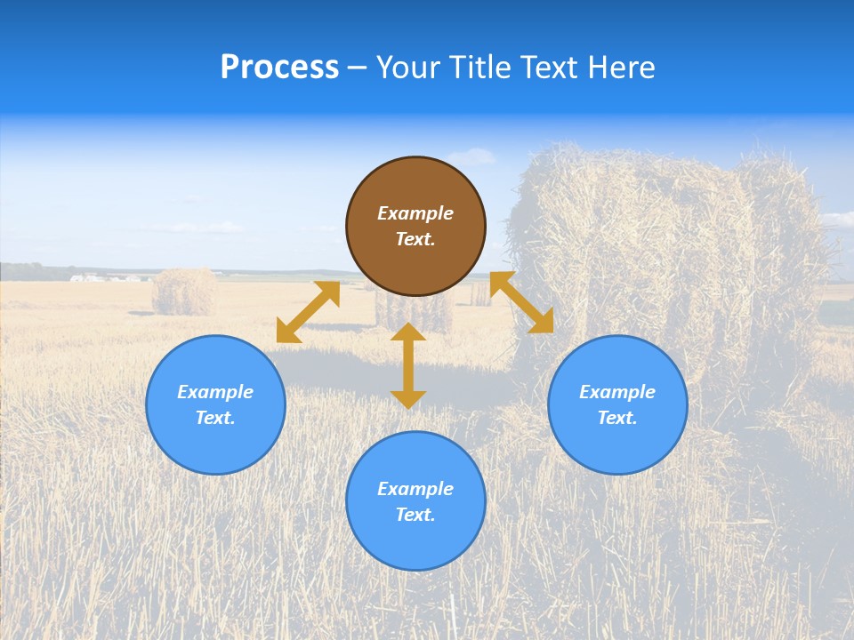 Season Wheat Blue PowerPoint Template