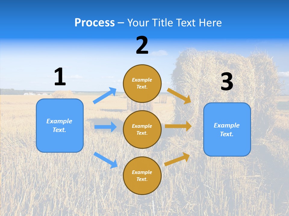 Season Wheat Blue PowerPoint Template
