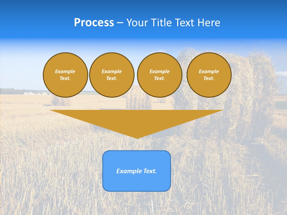 Season Wheat Blue PowerPoint Template